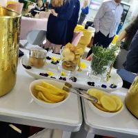 Franco Premier Mixology / Bartending Service/Home Office ico