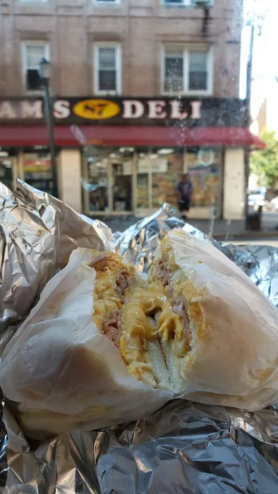 Sam's Deli & Grocery Picture 8