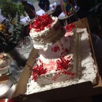 Nelly's Cake & Party Supply ico