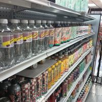 Costa Del Sur Deli Corp. ico