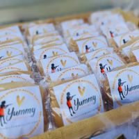Yummy Tummy4Life ico