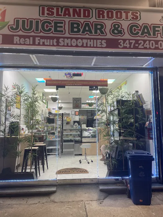 Island Roots Juice Bar and Cafe LLC Picture 7