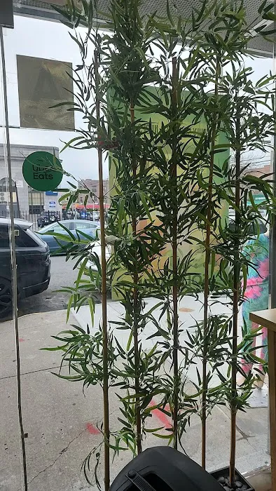 Island Roots Juice Bar and Cafe LLC Picture 9