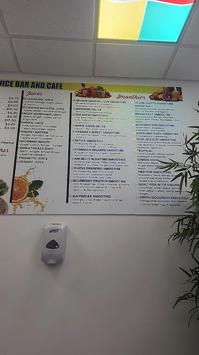 Island Roots Juice Bar and Cafe LLC Picture 8