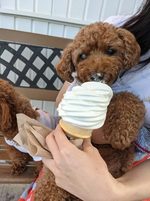 Ernie's Ice Cream Picture 10