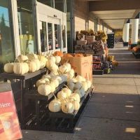 Prime No. 7 x Ugly Chicken ico