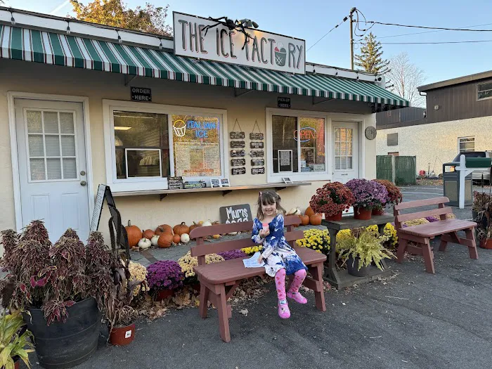 The Ice Factory Picture 8