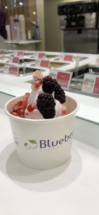 Blueberry Mahwah Frozen Yogurt, Açaí Bowl, Bubble Tea, Smoothie Picture 10