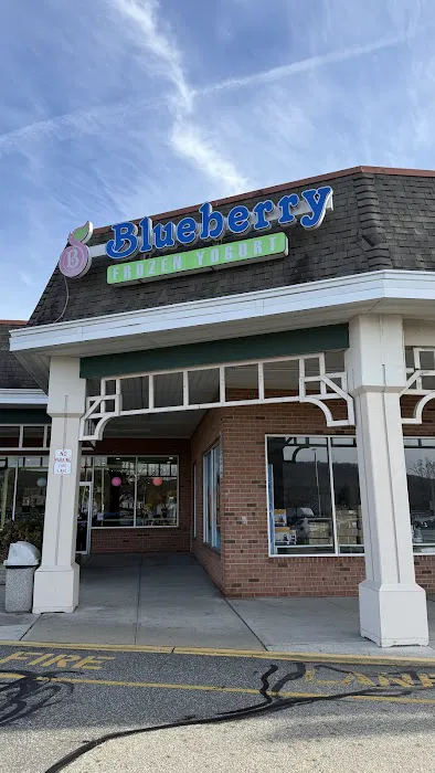 Blueberry Oakland Frozen Yogurt, Acai Bowl, Bubble Tea and Smoothie Picture 2