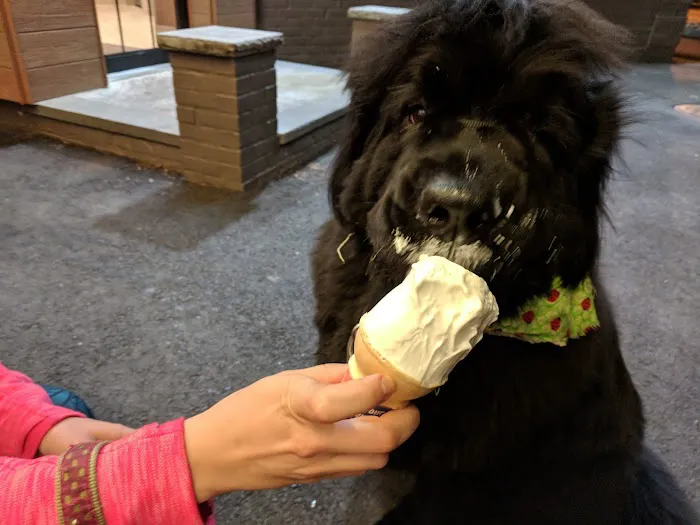 Dairy Queen Picture 8