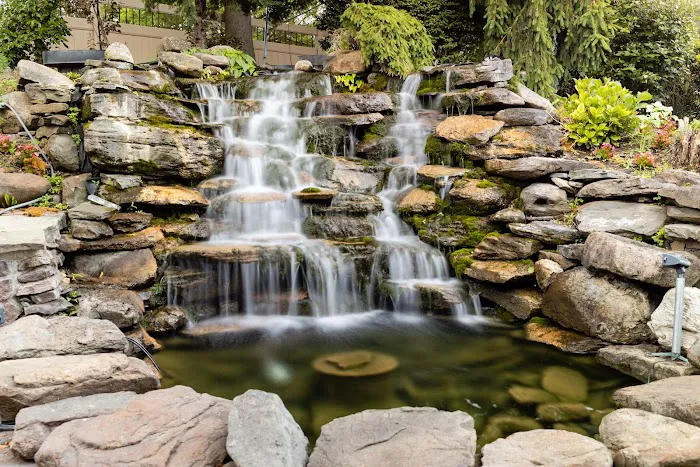 Portobello Picture 7