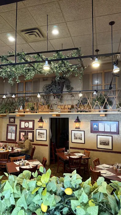 Positano Restaurant and pizzeria Picture 6