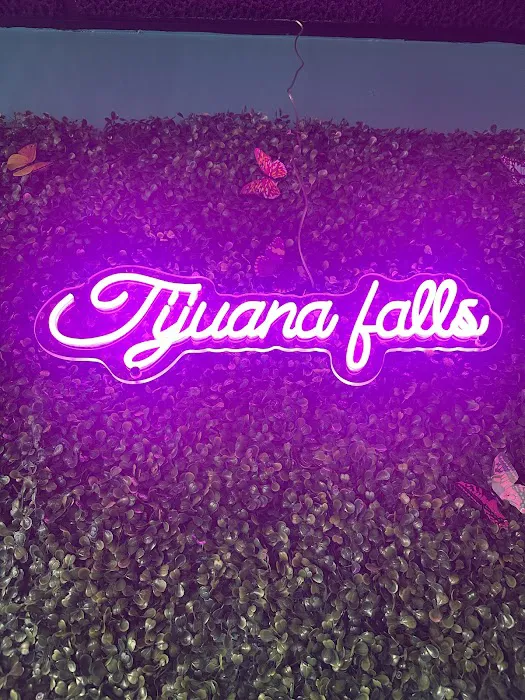 Tijuana Falls Taqueria Picture 7