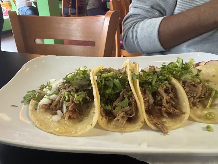 Tijuana Falls Taqueria Picture 6