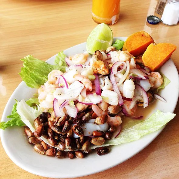 Garibaldi Peru-Mex Picture 2