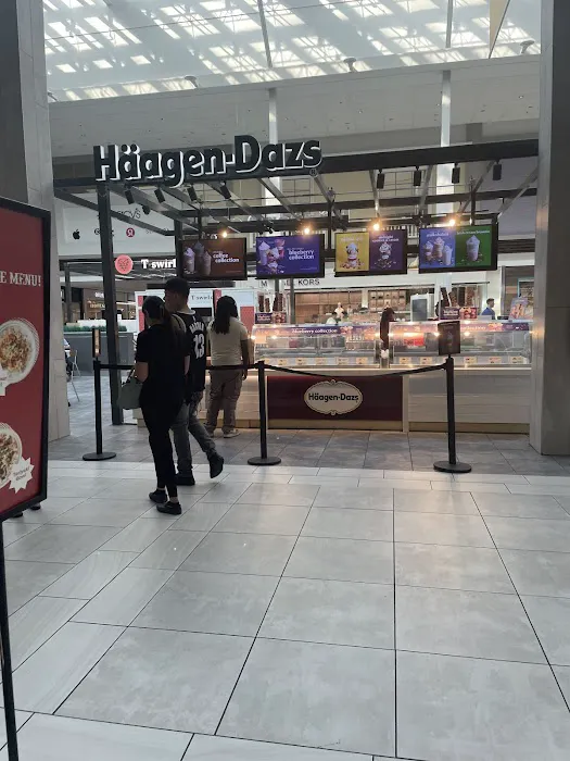 Häagen-Dazs Picture 2