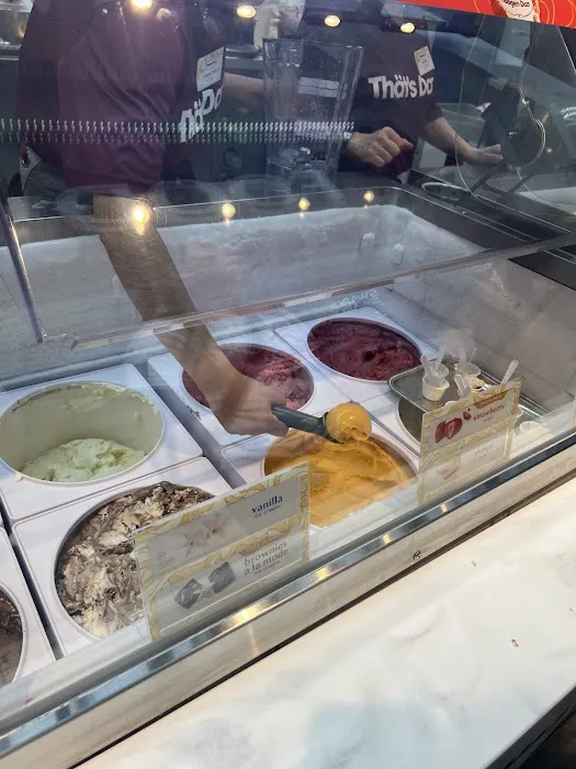 Häagen-Dazs Picture 3