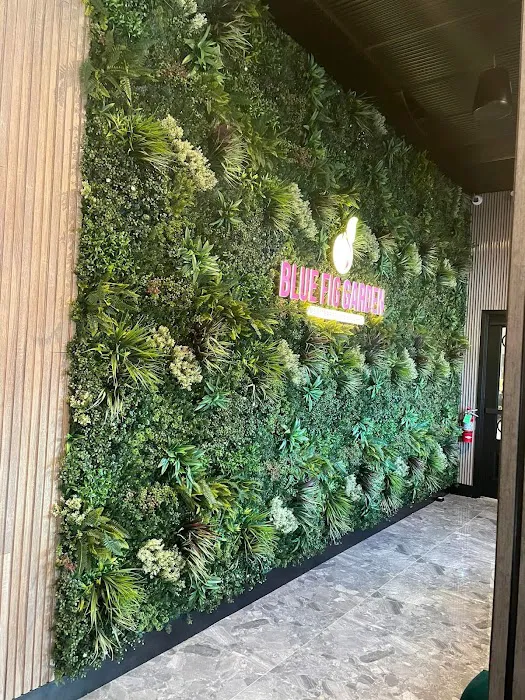 Blue Fig Garden Picture 6