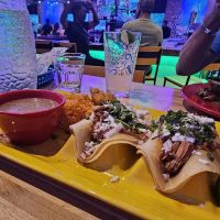 Fat Cactus Mexican Cantina Parsippany ico