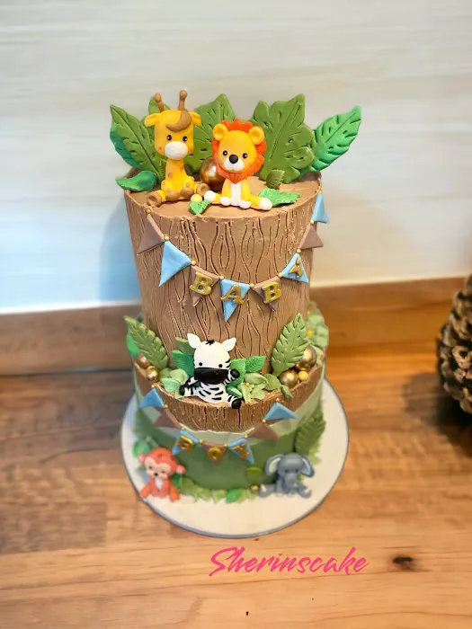 Sherin’s Cake Picture 6