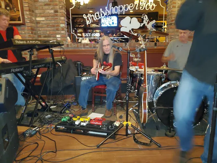 Grasshopper Too Picture 3