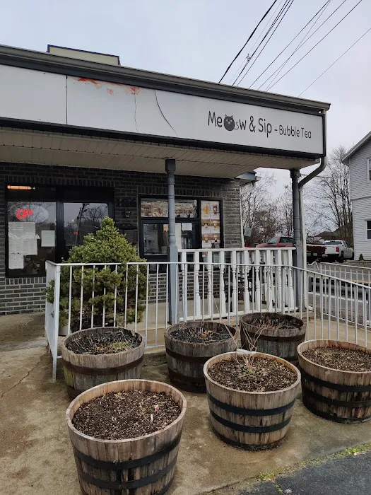 Meow & Sip Bubble Tea Picture 8