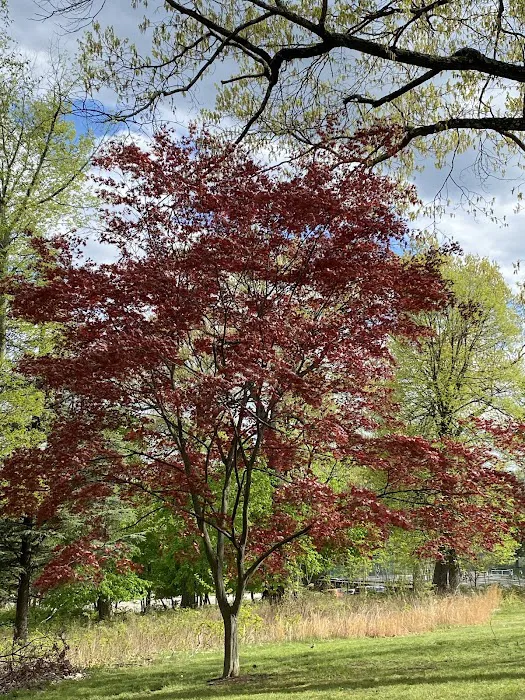 Lakeside Deli's Poolside Cafe Picture 9