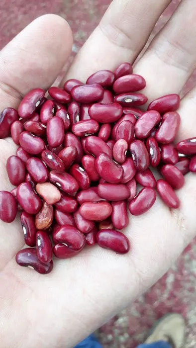 El Paisano Picture 1