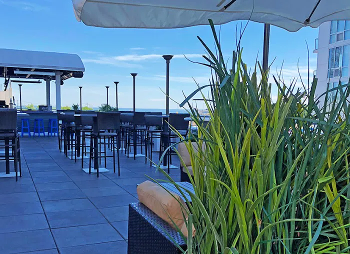 Sign of the Whale Picture 7