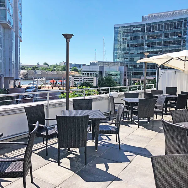 Sign of the Whale Picture 2