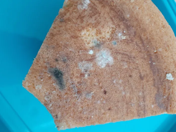 El Quetzal Bakery Picture 6