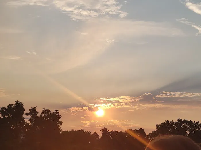 Beer Garden at Shippan Landing Picture 2