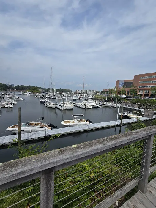 Beer Garden at Shippan Landing Picture 9