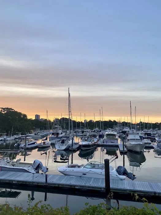 Beer Garden at Shippan Landing Picture 8