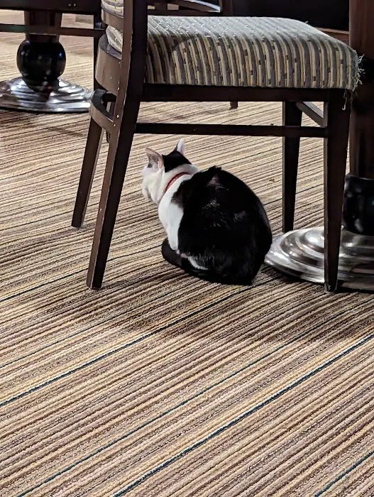 Maruichi Cafe Picture 5