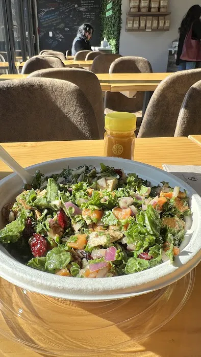 Green & Tonic Stamford Picture 4