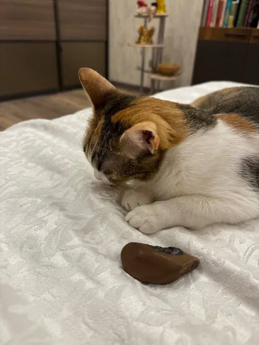 Warsaw Deli Picture 6