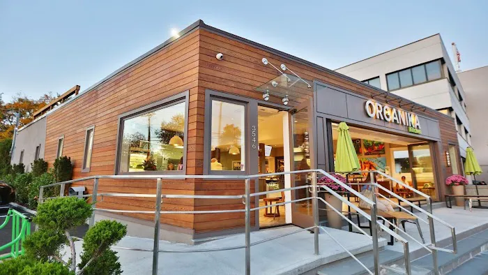 Organika Kitchen Picture 3