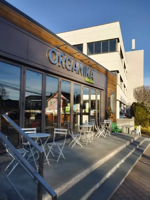 Organika Kitchen Picture 9