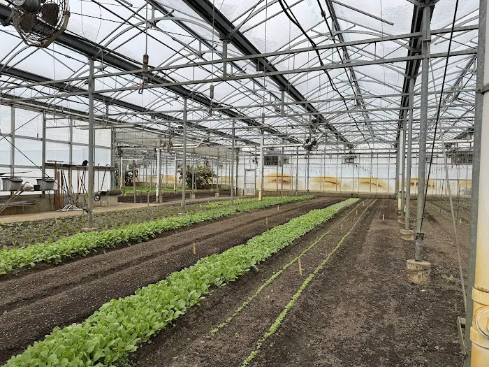 Blue Hill At Stone Barns Picture 9