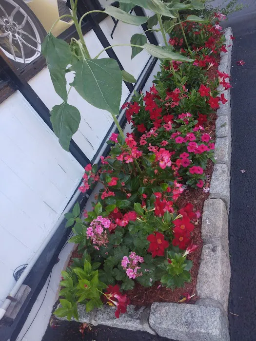 Lange's Little Store Picture 2