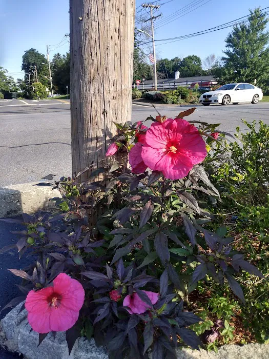 Lange's Little Store Picture 9