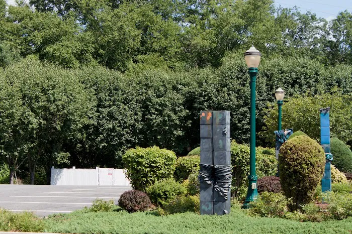 Spaccarelli's Picture 5