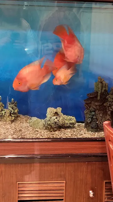 Hunan Garden 86 Picture 9