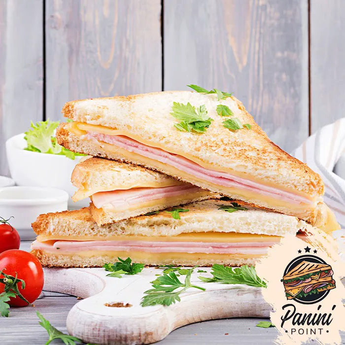 Panini Point Picture 8