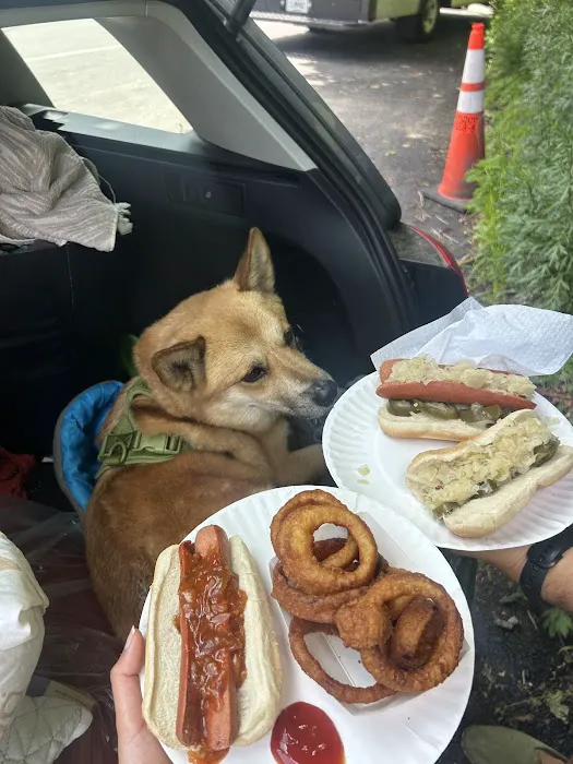 Lou's Wagon (Hot dog truck) Picture 6