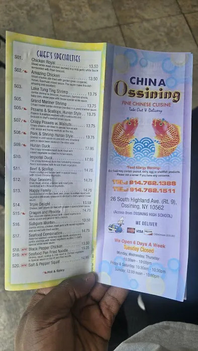 China Ossining Picture 4