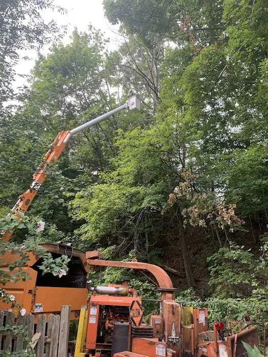 Sassi Italian Deli Picture 6