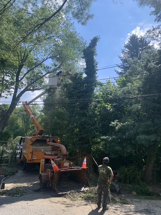 Sassi Italian Deli Picture 4