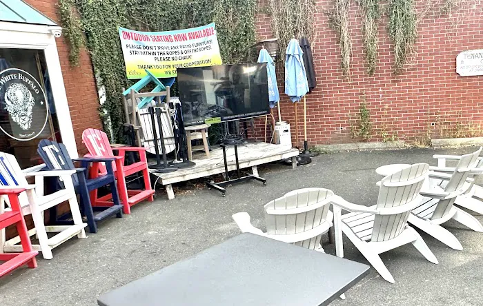 The White Buffalo Picture 2